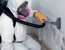 Reliable Pocono Springs, PA Mold Inspection Solutions